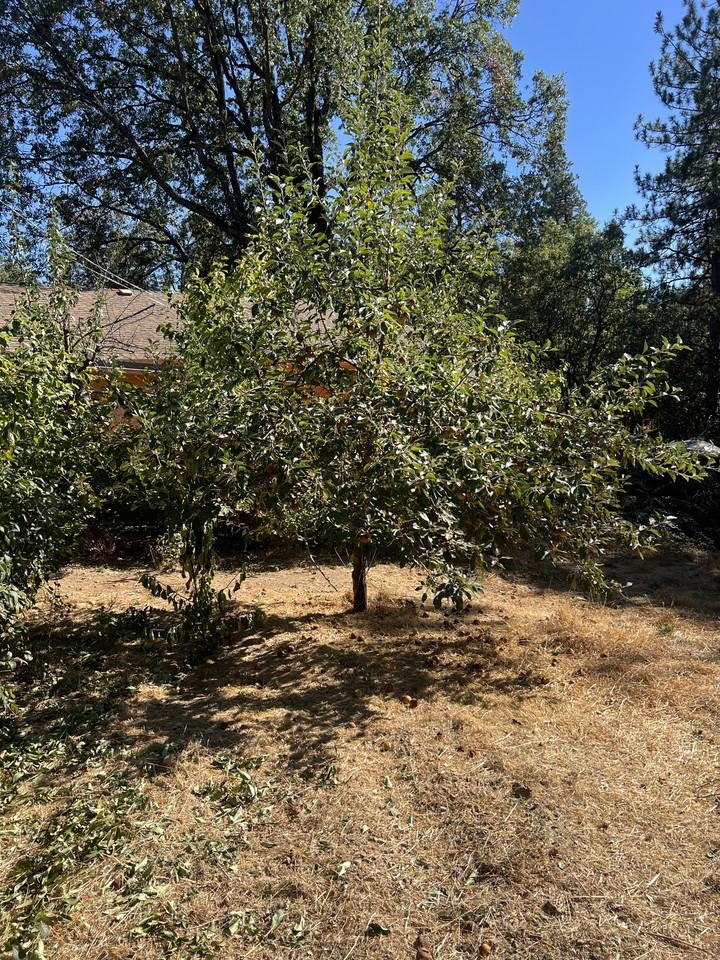 4041 Blagen Blvd - Photo 5 of 50