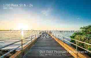 featured image of 1700 Park St N #24