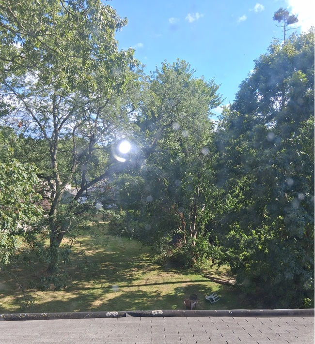 1004 Butler Ave #3 - Photo 4 of 10