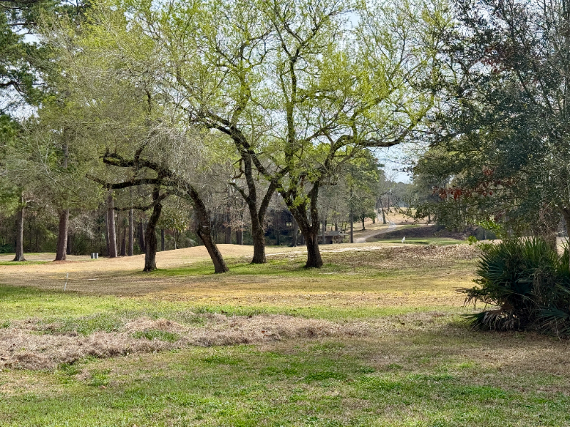 106 Westchester St - Photo 3 of 20