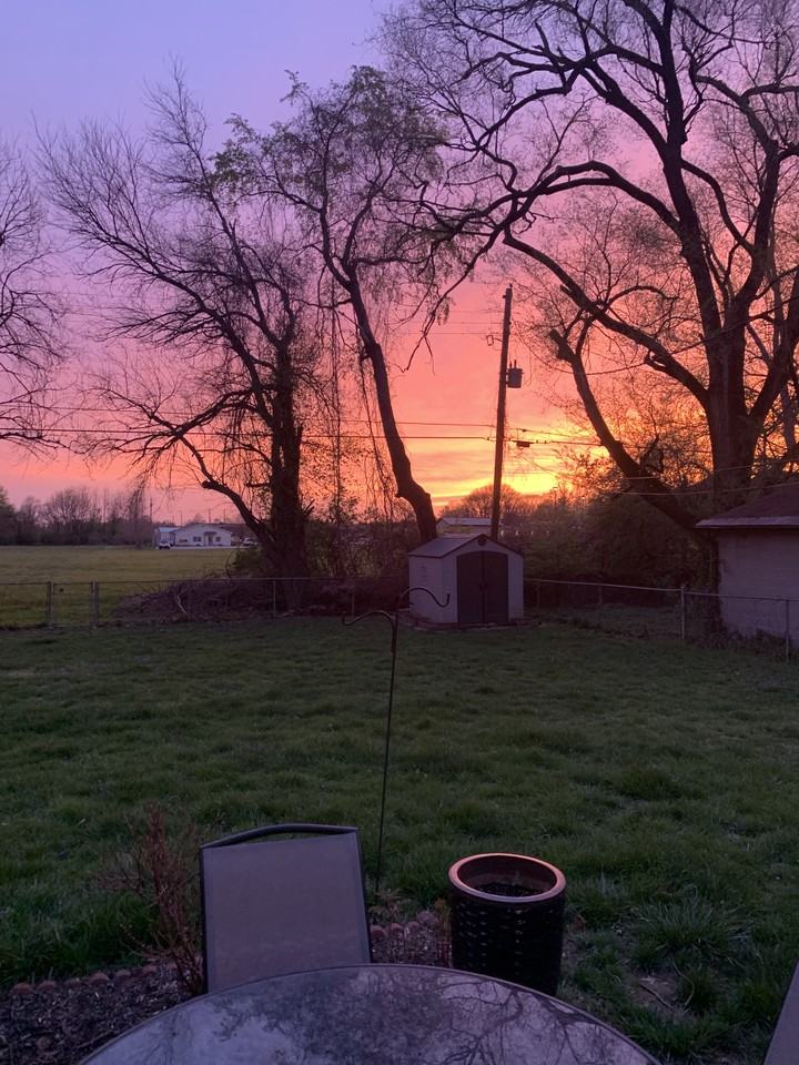 2012 Japonica Way #NA - Photo 5 of 25