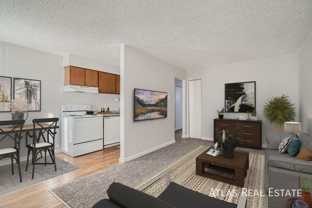 Cherry Tree - Photo 1 of 1