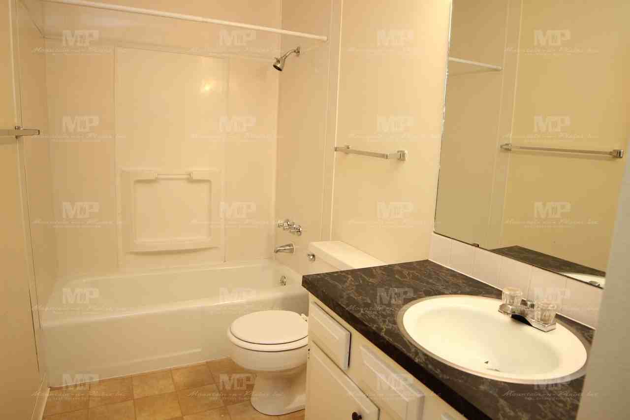 447 W Swallow Rd - Photo 7 of 19