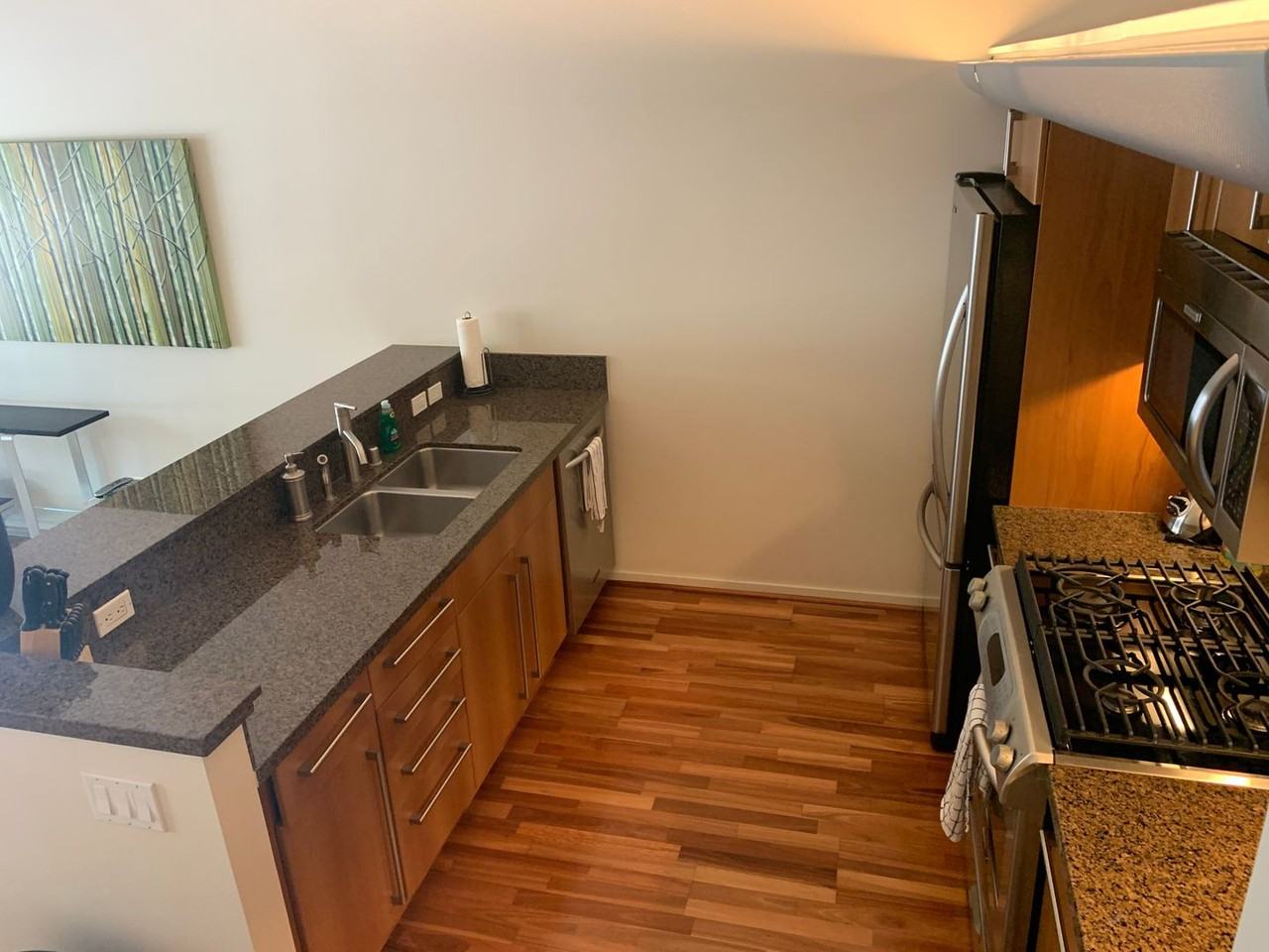 350 350 11th Ave 337 - ICON #337 - Photo 4 of 13