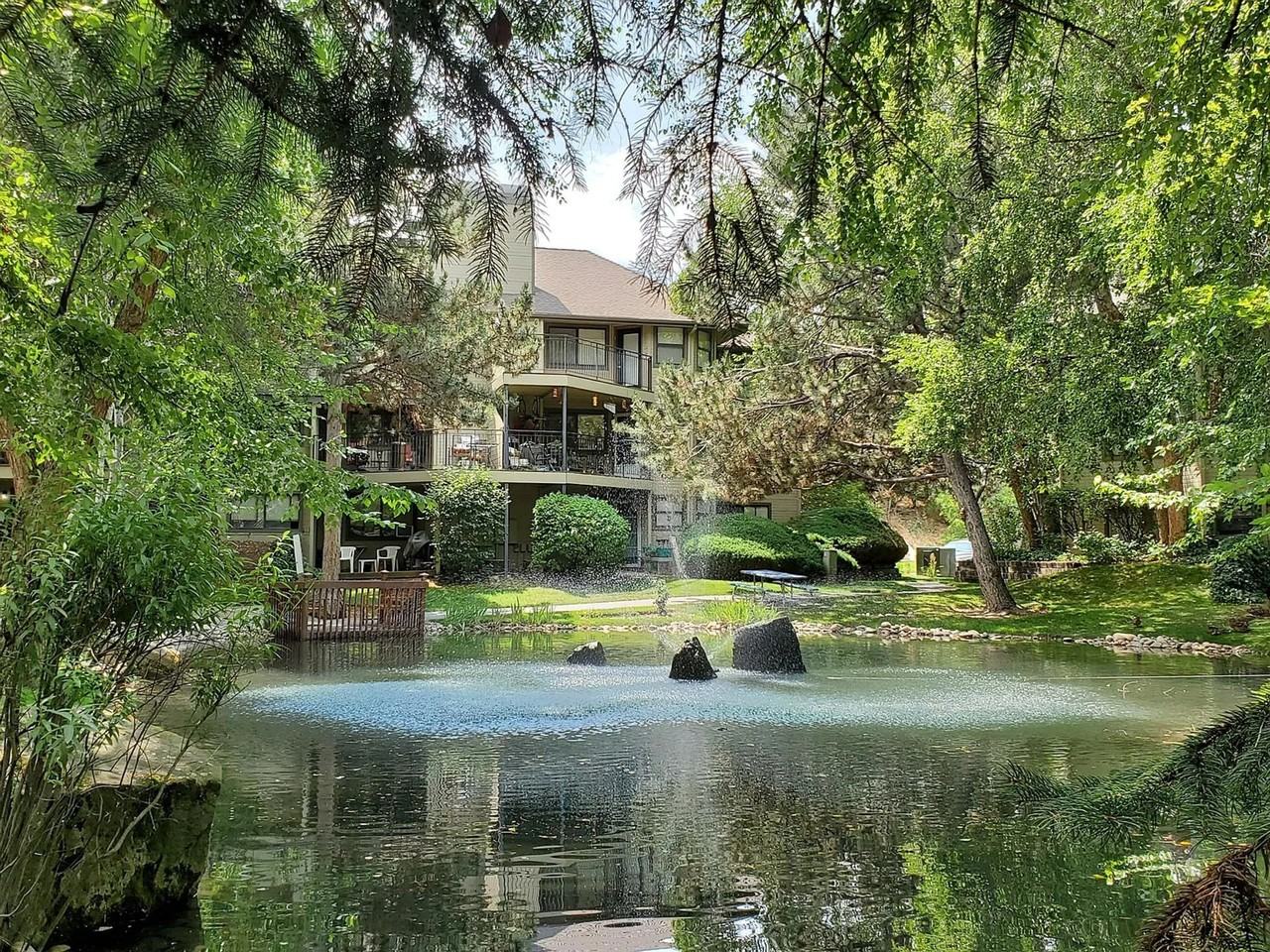 3687 S Gekeler Ln #75 - Photo 3 of 24