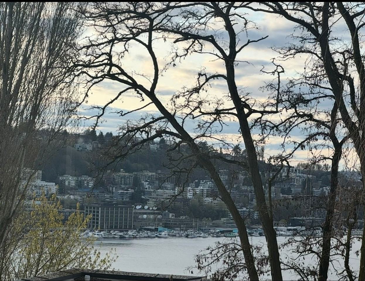 2322 E Aloha St - Photo 4 of 5