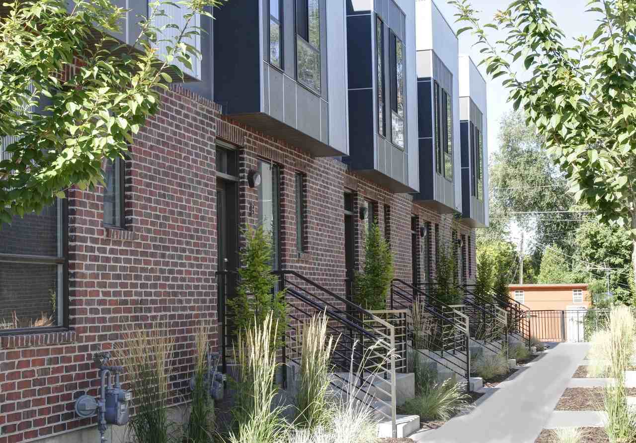 Blue Koi - Photo 2 of 10