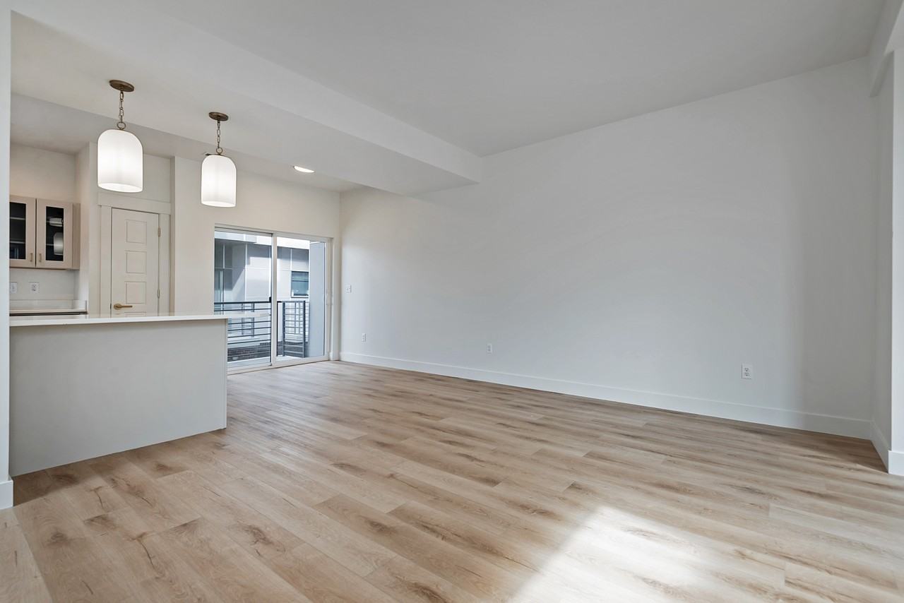 Blue Koi - Photo 4 of 10