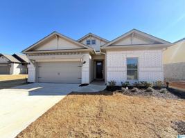 featured image of 214 Stockyard Cir