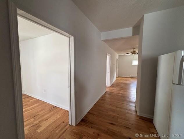 243 N Elm St Apt 3 - Photo 5 of 12