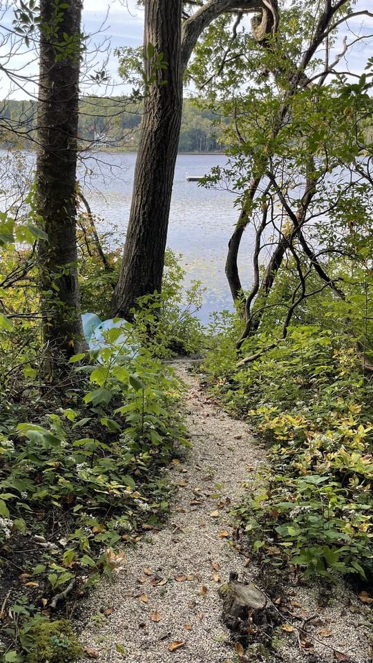 433 Segar Mountain Rd - Photo 3 of 15