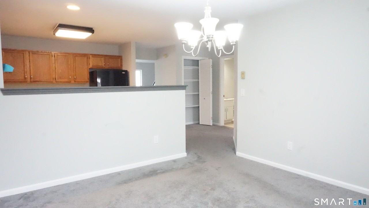 234 Willow Spgs Unit 234 - Photo 4 of 24