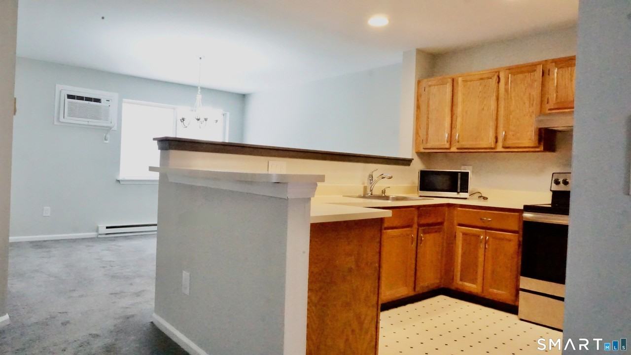 234 Willow Spgs Unit 234 - Photo 5 of 24