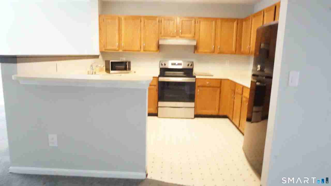 234 Willow Spgs Unit 234 - Photo 7 of 24