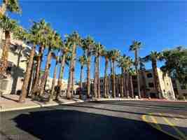 featured image of 2040 Mesquite Ln #104