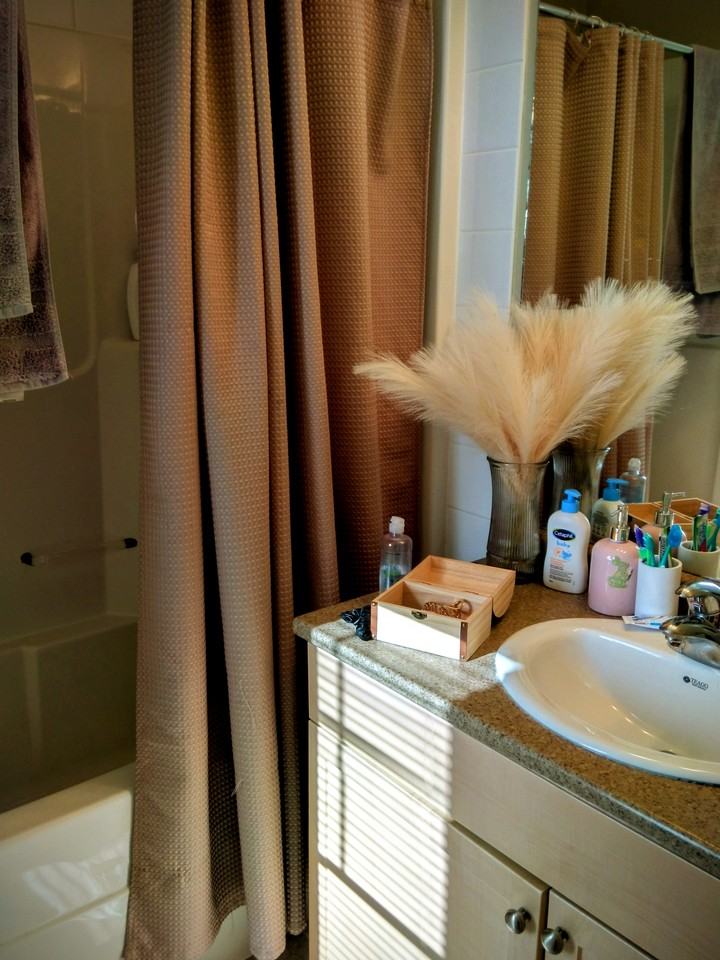 1613 Rutherford Road Southwest - Photo 5 of 10