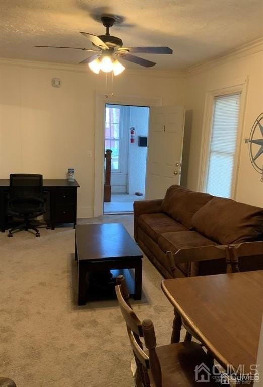 203 Woodbridge Ave #1 - Photo 5 of 15