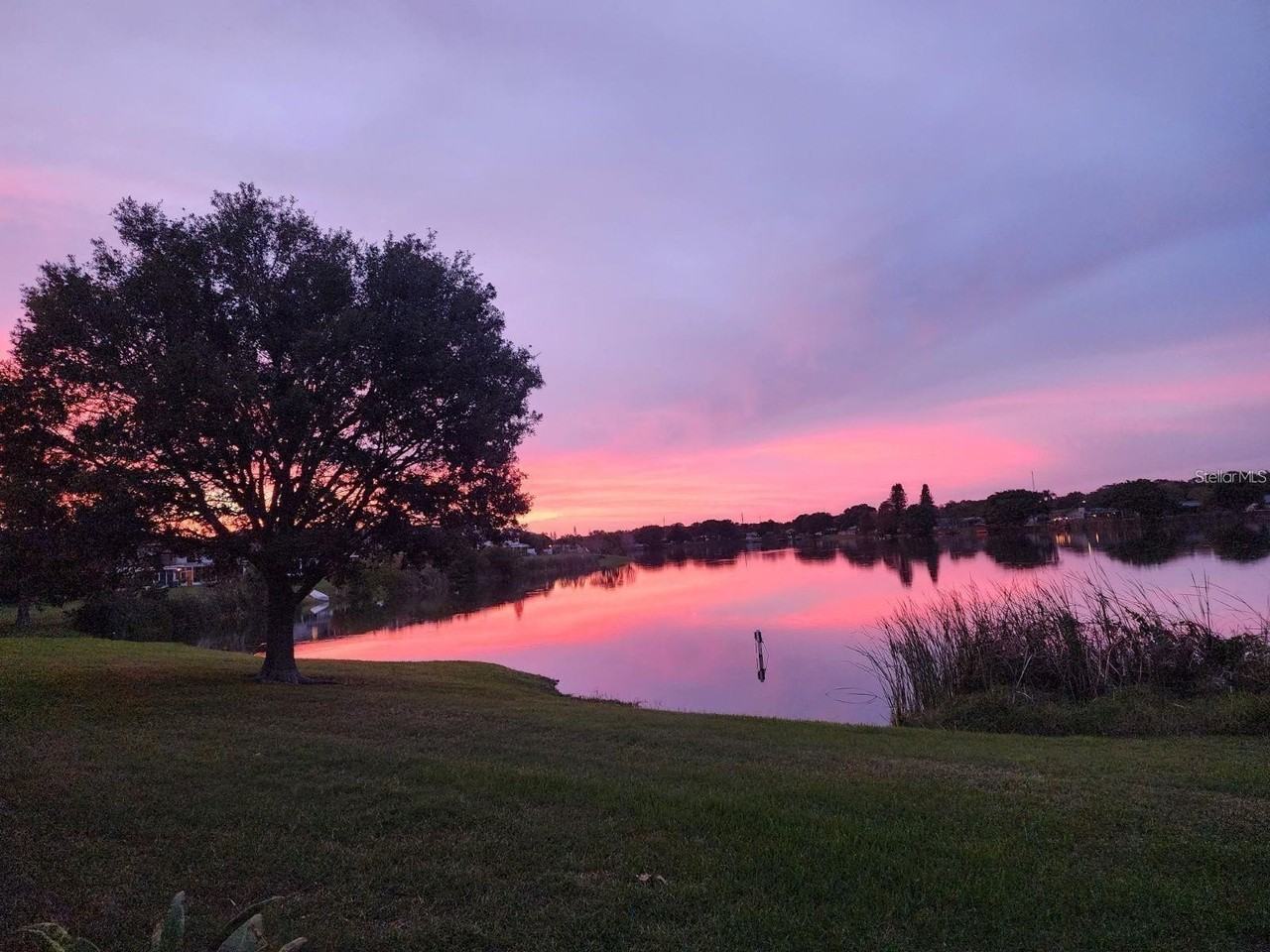 8211 118th Ave - Photo 3 of 43