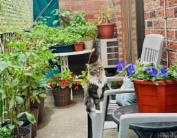 featured image of 6607 242nd St Unit 13d