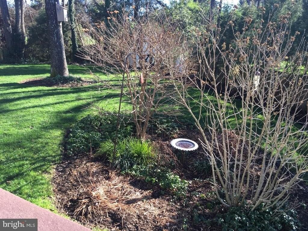 9119 Buckner Rd - Photo 6 of 33