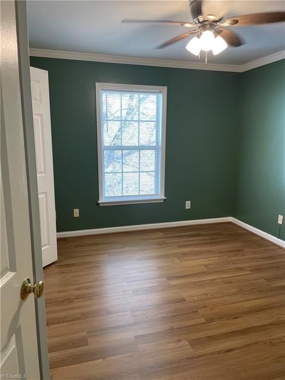 3709 Morris Farm Dr - Photo 3 of 7