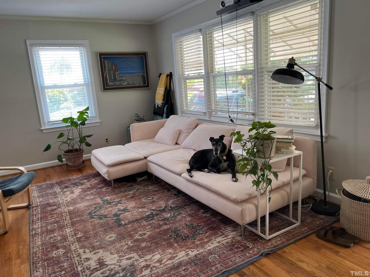 205 Plainview Ave - Photo 4 of 50