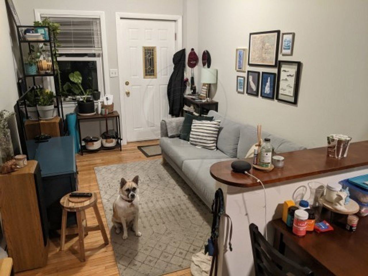 36 Merriam St #1 - Photo 2 of 9