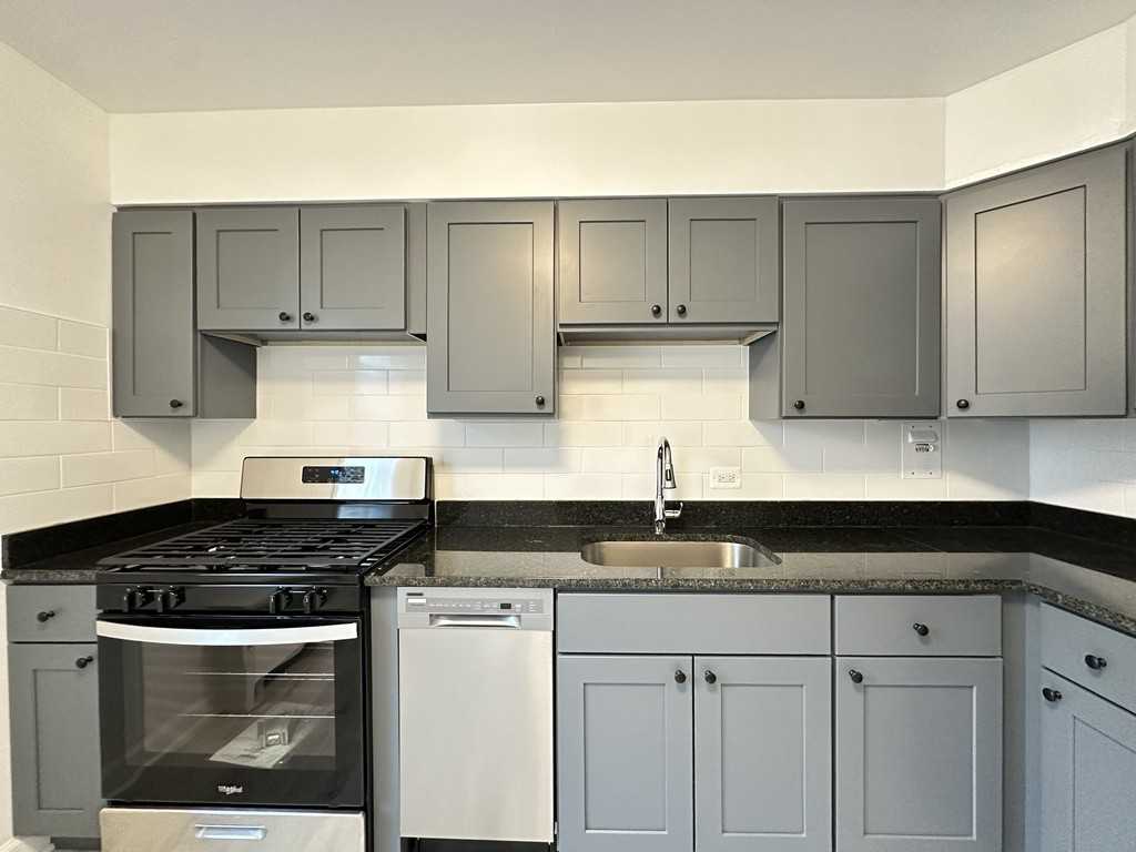 6731 N California Ave #2E - Photo 3 of 21