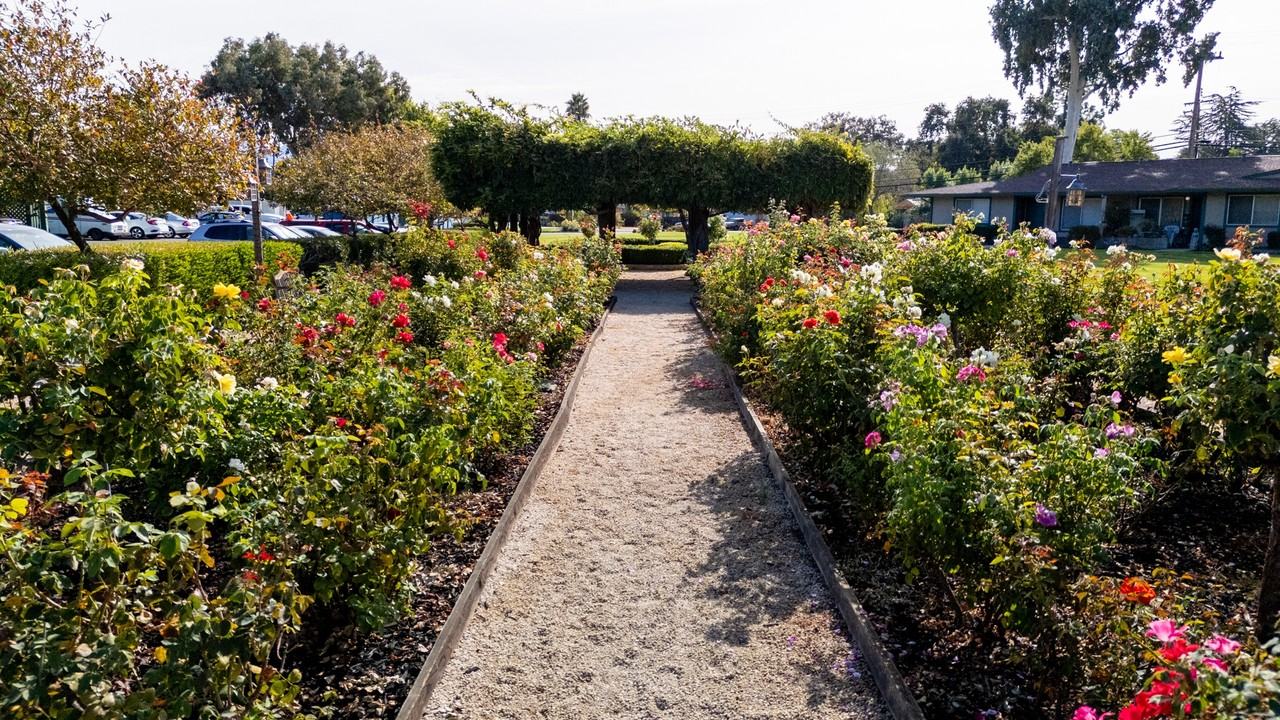 The Grove at Walnut Creek - Photo 7 of 21