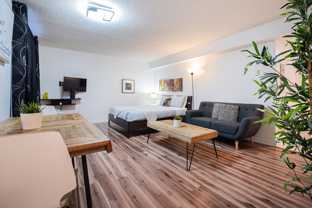 1206 Rue Sanguinet - Photo 1 of 1