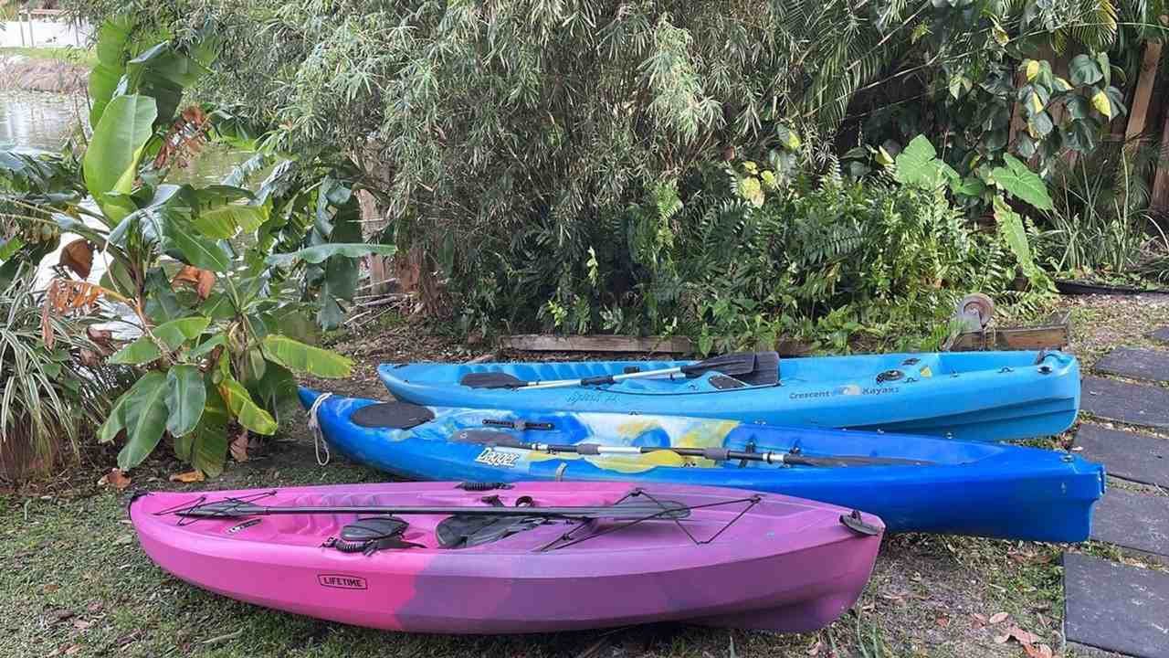 303 Lang Rd #1495041P - Photo 6 of 50