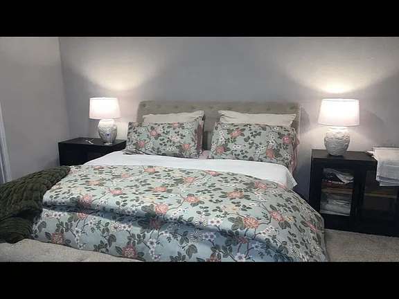 473 Apache Plum Dr - Photo 5 of 9