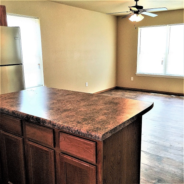 2829 W Hillshire Dr - Photo 4 of 6