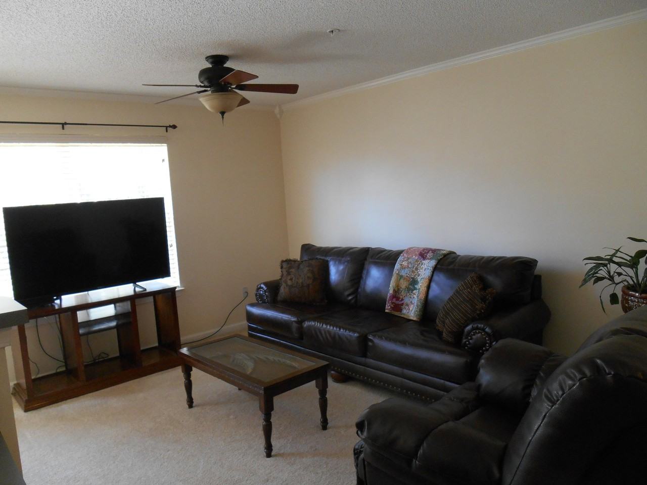 149 Swaying Pine Ct - Photo 6 of 22