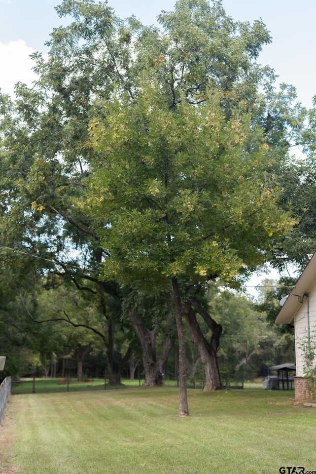 323 County Road 1519 - Photo 5 of 37