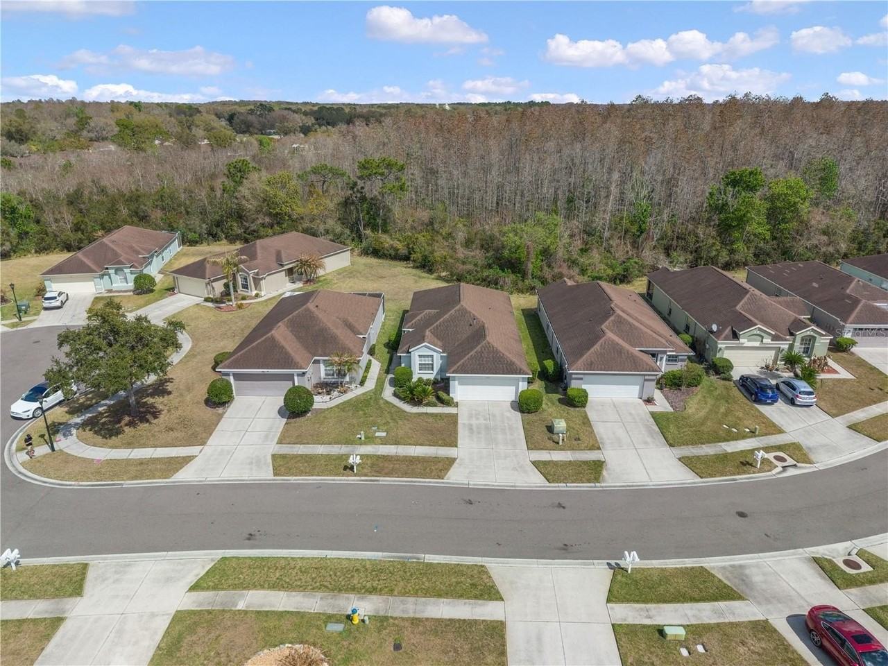 5542 Gallant Fox Ct - Photo 6 of 23