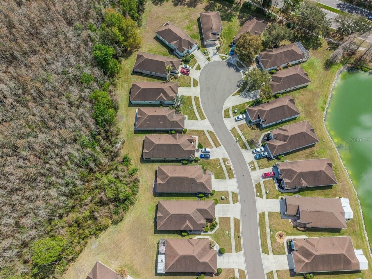 5542 Gallant Fox Ct - Photo 7 of 23