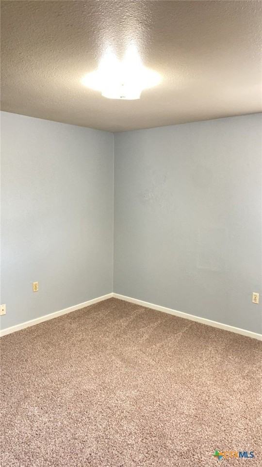 307 Sunset Ln Apt 4 #4 - Photo 4 of 5