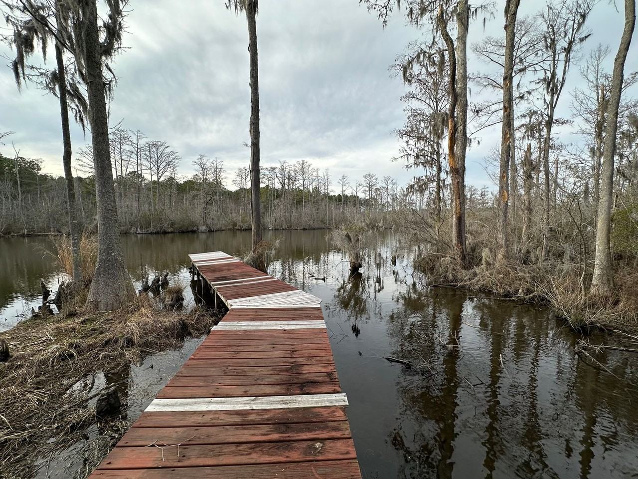 308 Seeview Ln - Photo 2 of 10