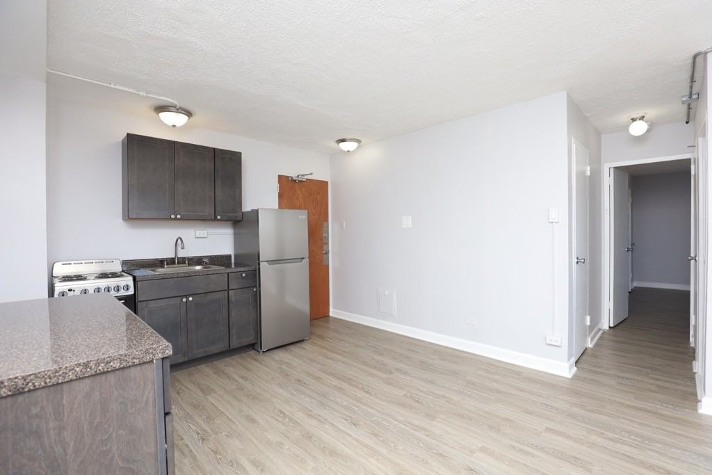 7333 N Ridge Blvd #501 - Photo 5 of 21