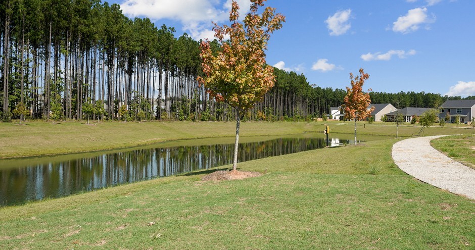 Beacon at Ashley River Rental Homes - Photo 5 of 28