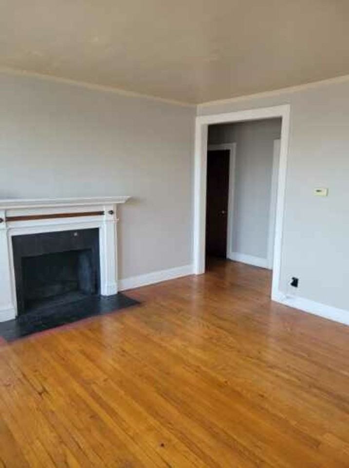 Steward - Photo 4 of 15