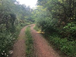 featured image of Red Rock Rd #NA