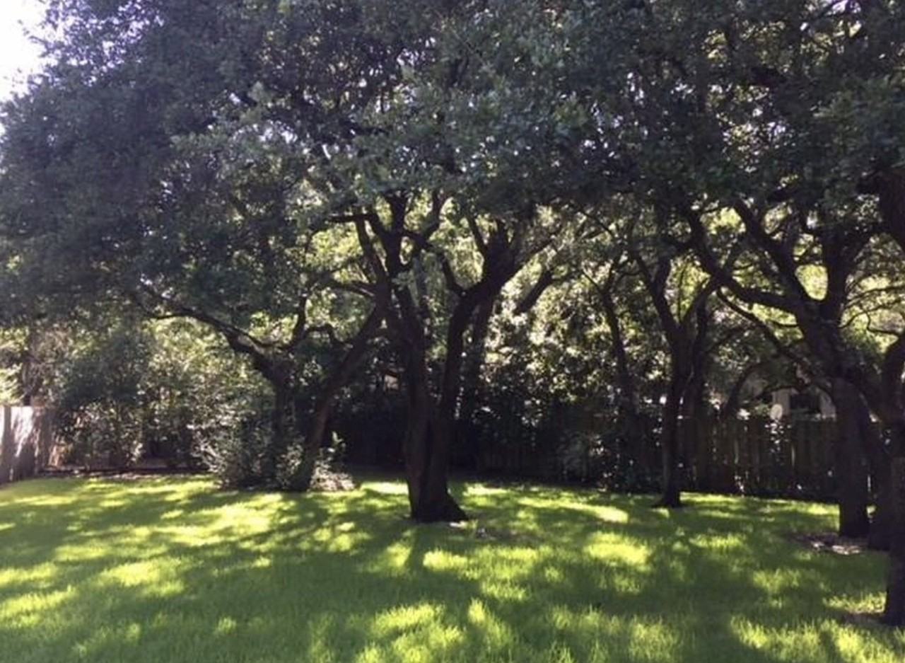 7025 Riverton Dr #NA - Photo 2 of 19