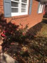 519 Beaulah Ave #NA - Photo 1 of 1