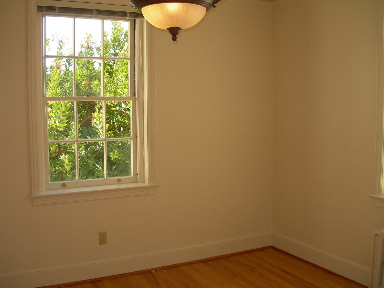 1276 Ruckman Avenue #B - Photo 3 of 6