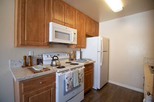 Gold Coast Apartments - Photo 1 of 1