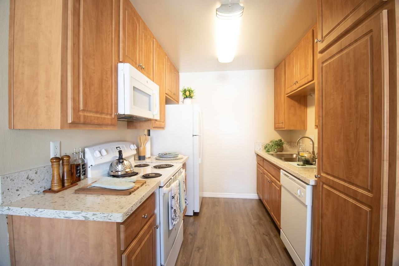 Gold Coast Apartments - Photo 2 of 10