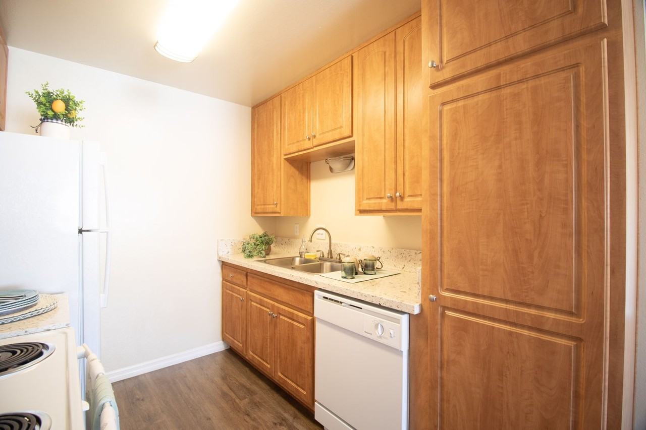 Gold Coast Apartments - Photo 3 of 10