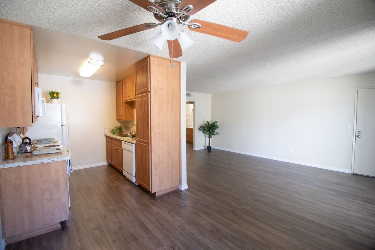 Gold Coast Apartments - Photo 4 of 10